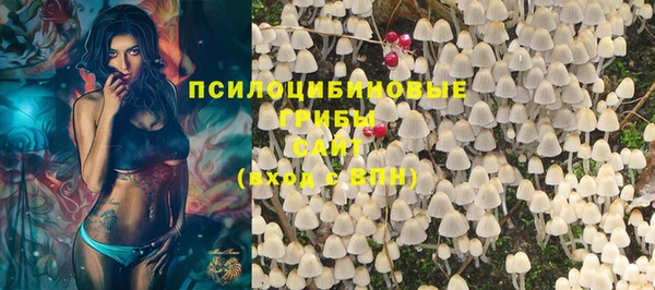 хмурый Балахна
