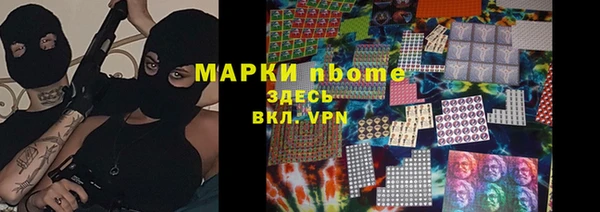 сатива Аркадак