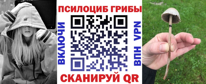 Галлюциногенные грибы мухоморы что такое наркотик Советск